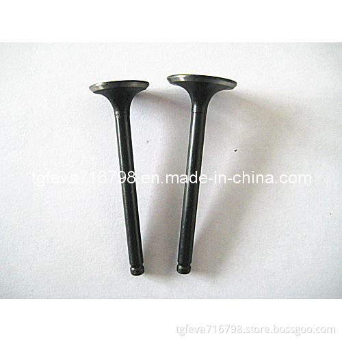 Motorcycle Intake & Exhaust Valve